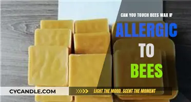 Bee Allergy Concerns: Is Touching Beeswax Safe for You?