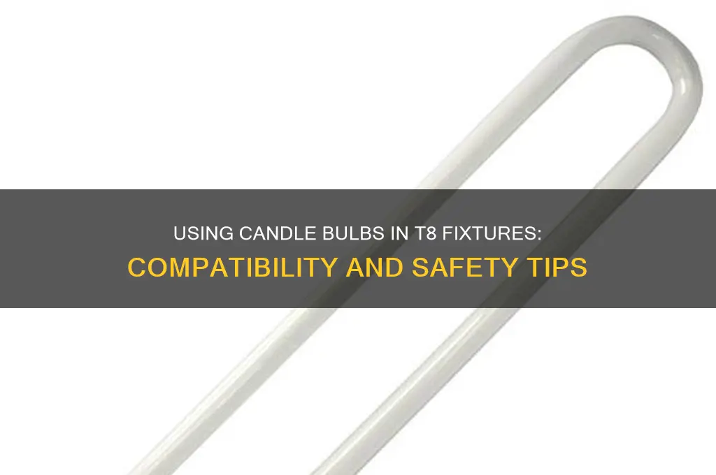 can you use a candle bulb in a t8