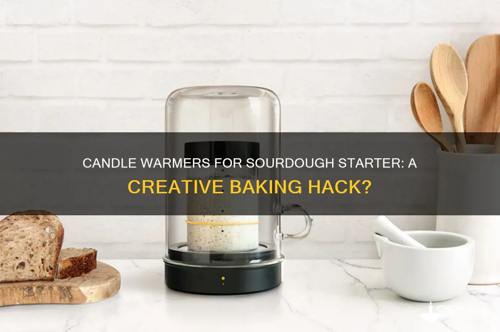 can you use a candle warmer for sourdough starter