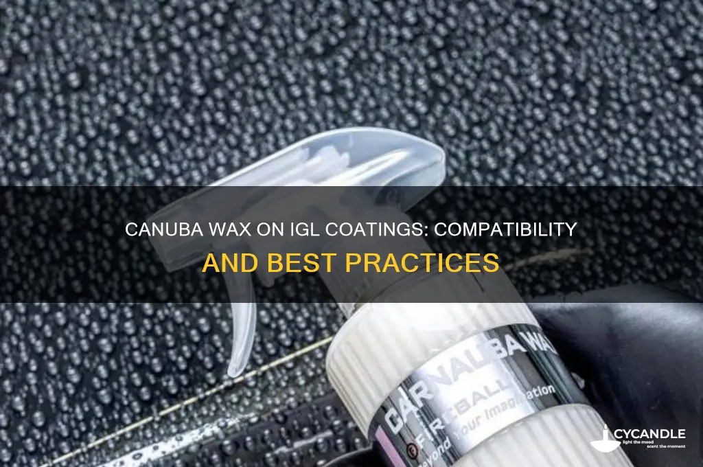 can you use a canuba wax on igl coatings