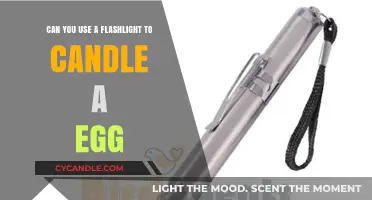 Using a Flashlight to Candle Eggs: Myth or Practical Method?