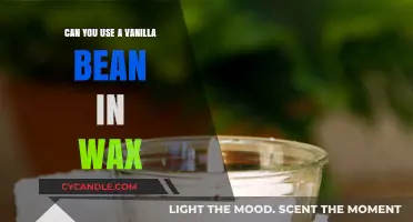 Vanilla Bean in Wax: Creative Uses and Benefits Explored