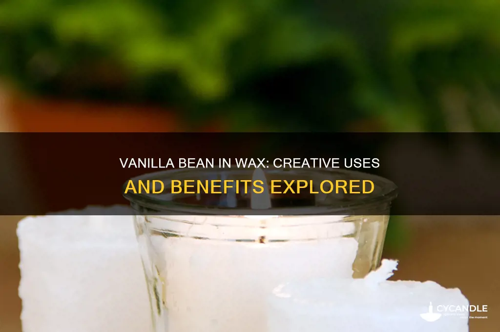 can you use a vanilla bean in wax