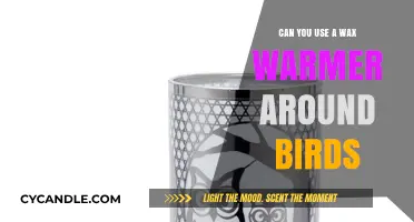 Bird-Safe Wax Warmers: Tips for Using Aromatics Around Feathered Friends