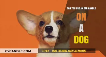 Ear Candling for Dogs: Safe Practice or Risky Trend?