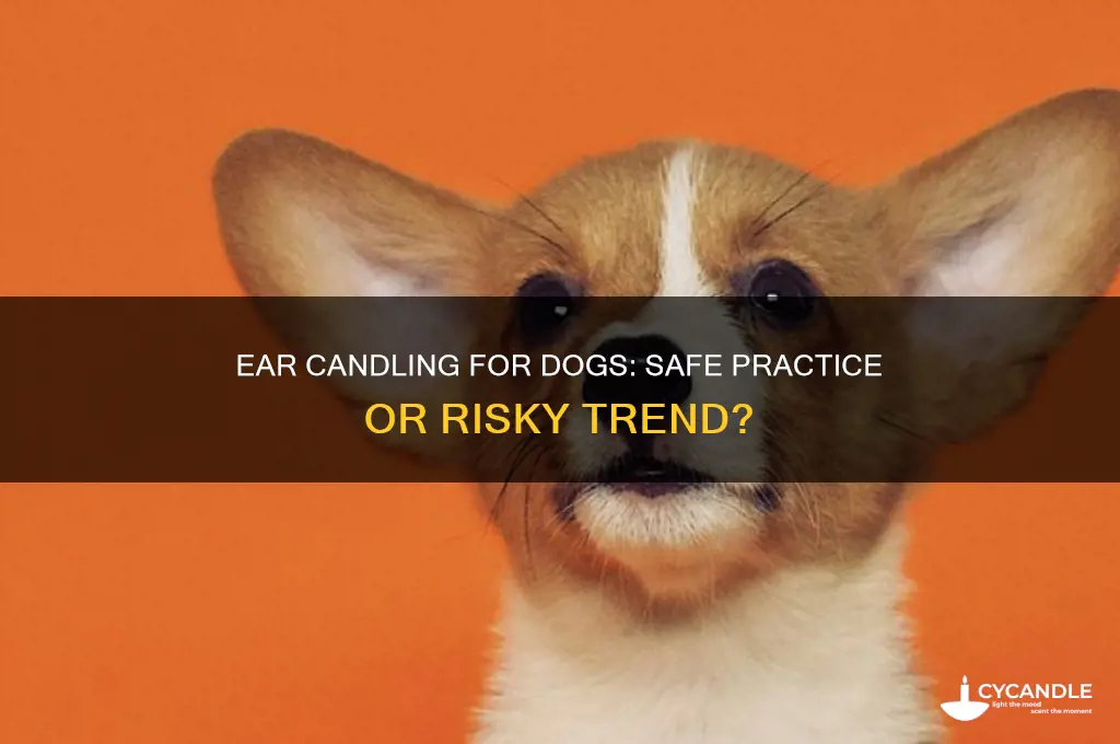 can you use an ear candle on a dog