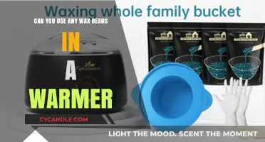 Using Wax Beans in Warmers: What Types Work Best?