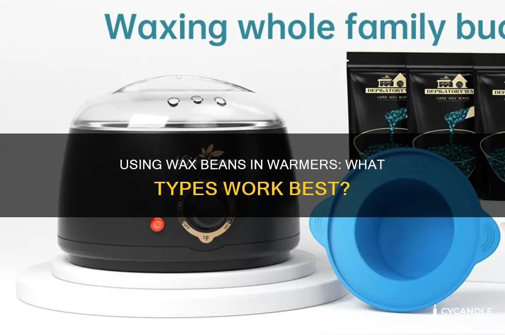 can you use any wax beans in a warmer