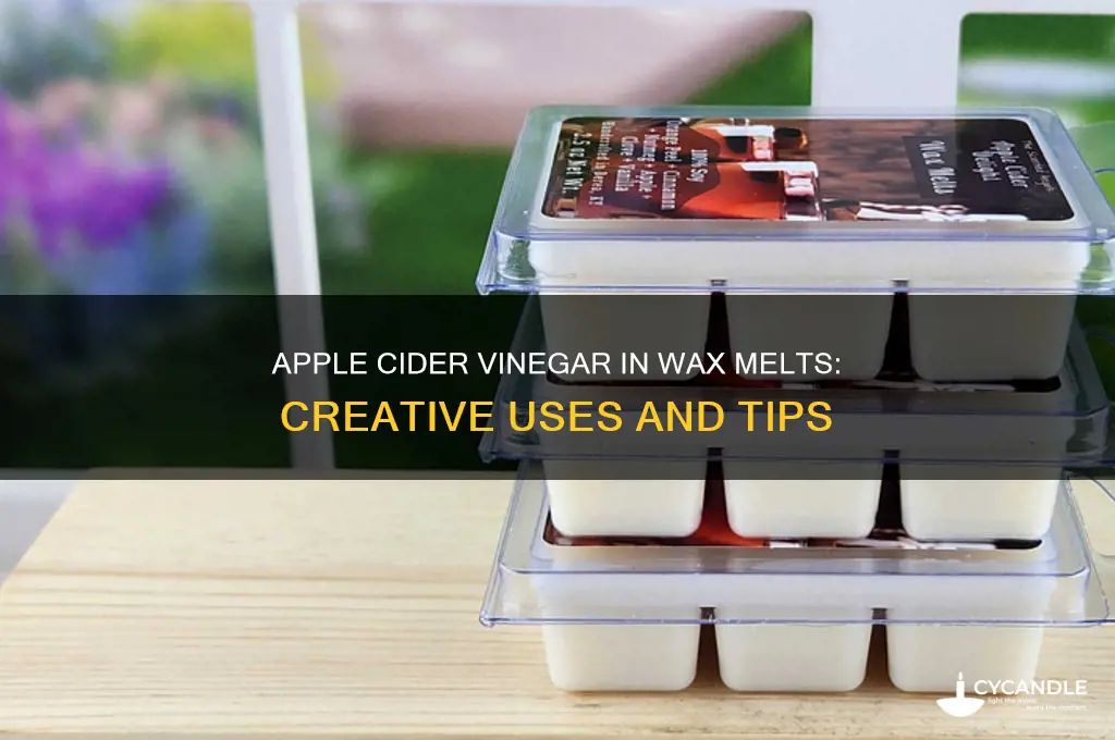 can you use apple cider vinger i for wax melts