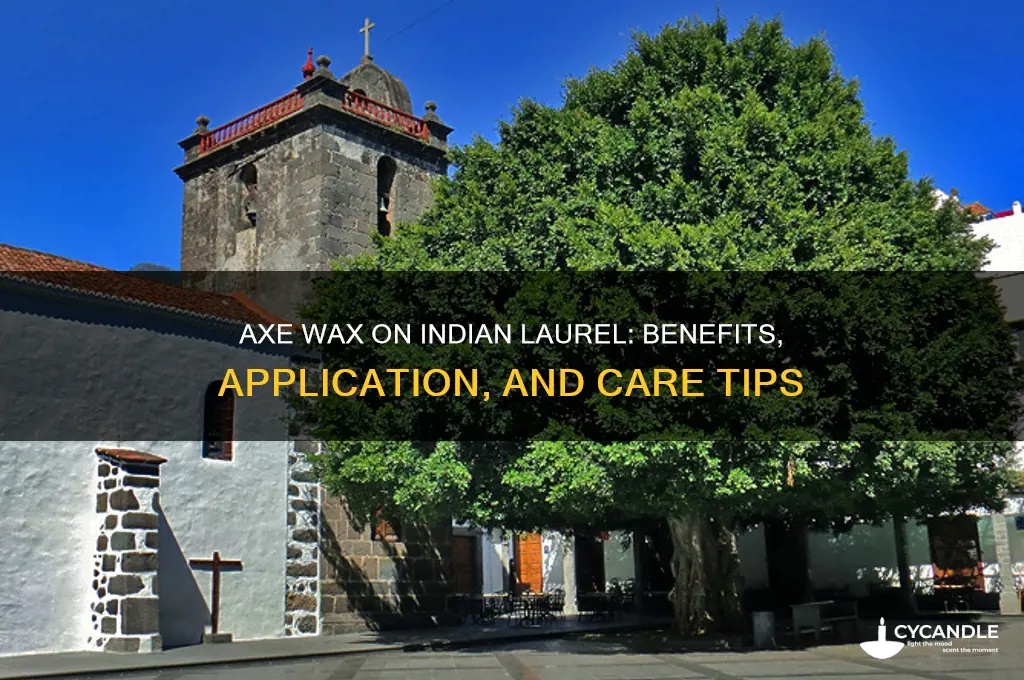 can you use axe wax on indian laurel