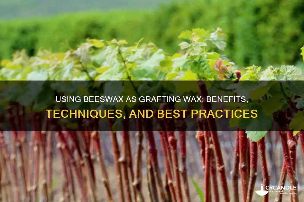 can you use beeswax as grafting wax