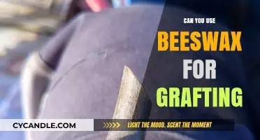 Using Beeswax for Grafting: Benefits, Techniques, and Best Practices