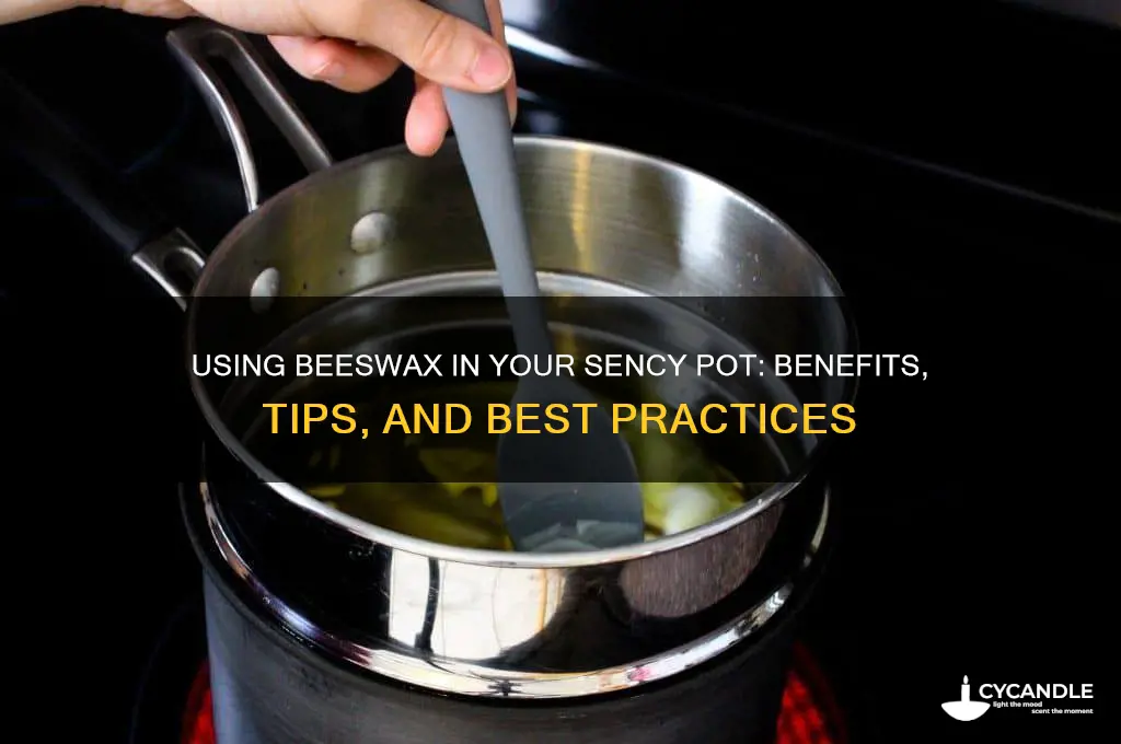 can you use beeswax in you sency pot