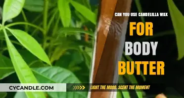 Candelilla Wax in Body Butter: Benefits, Uses, and DIY Tips