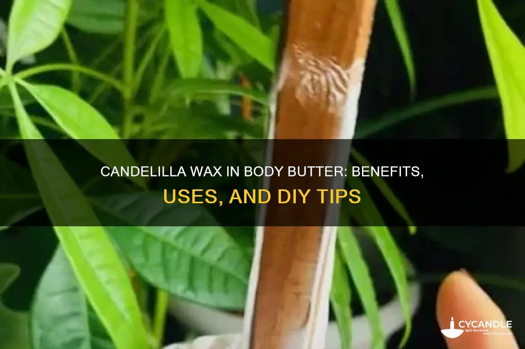 can you use candelilla wax for body butter