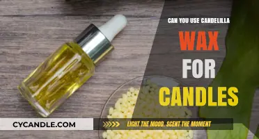 Candelilla Wax for Candles: Benefits, Uses, and DIY Tips