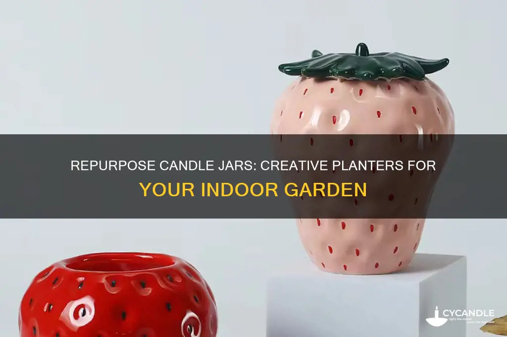 can you use candle jars fir plants