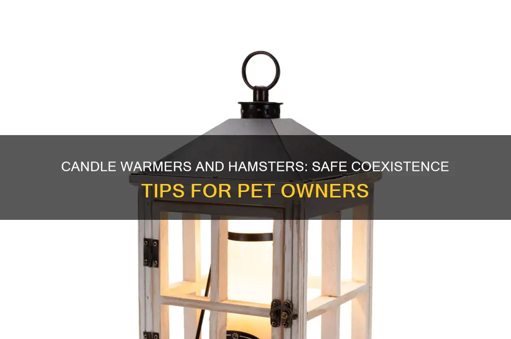 can you use candle warmers with hamsters in the house