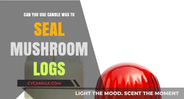 Sealing Mushroom Logs: Exploring Candle Wax as an Effective Method