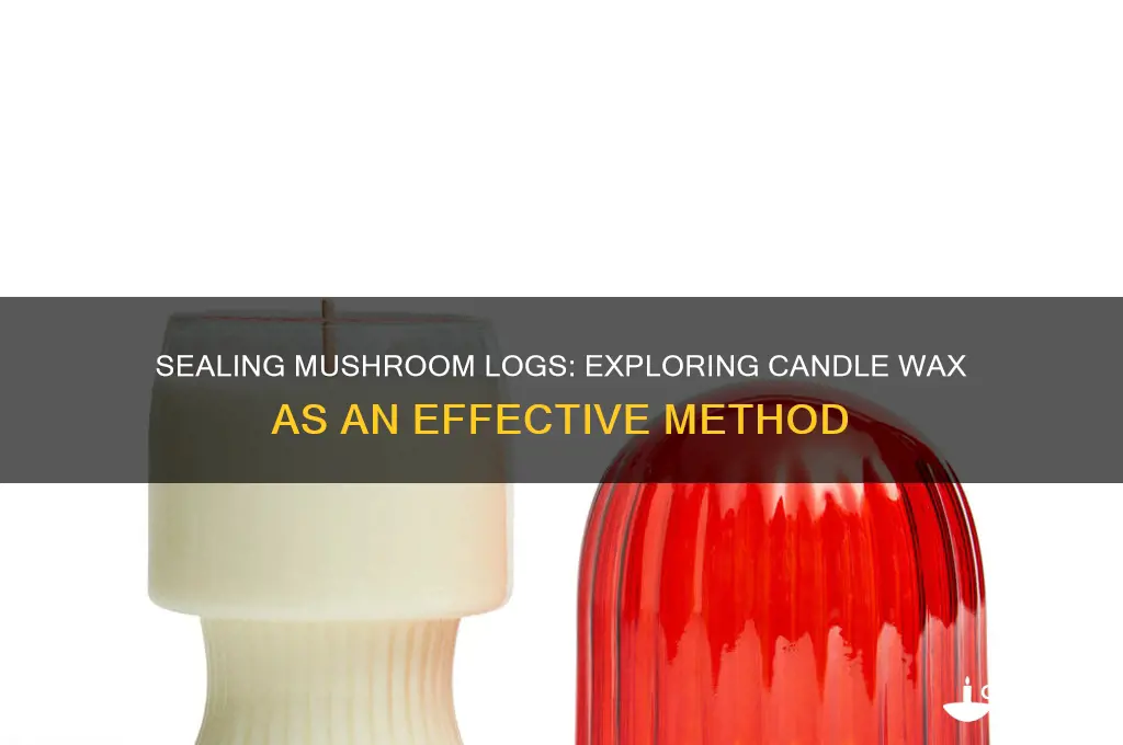can you use candle wax to seal mushroom logs