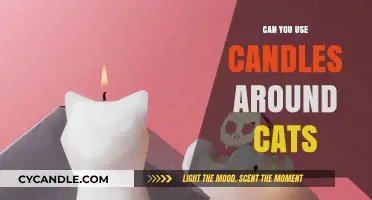 Candles and Cats: Safe Practices for Feline-Friendly Aromatherapy