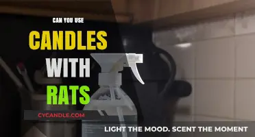 Candles and Rats: Safe Practices for Pet Owners to Follow