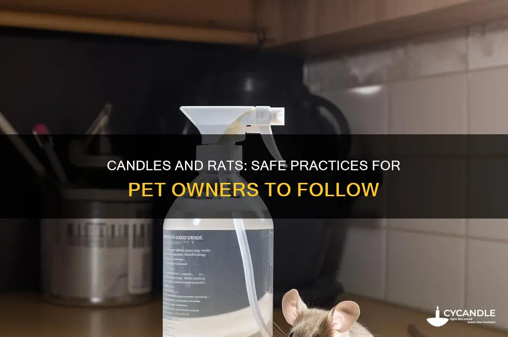 can you use candles with rats