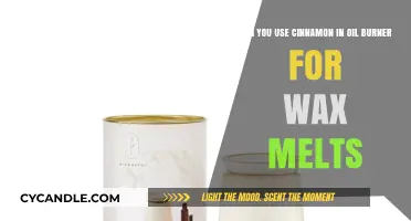 Using Cinnamon in Oil Burners for Wax Melts: Safe or Not?