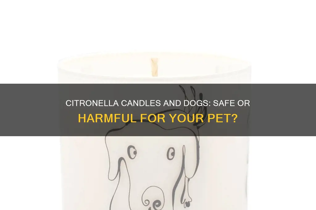 can you use citronella candles around dogs
