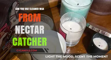 Reusing Cleaned Wax from Nectar Catcher: Safe Practices and Tips