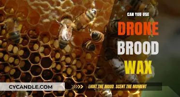 Using Drone Brood Wax: Benefits, Methods, and Best Practices for Beekeepers