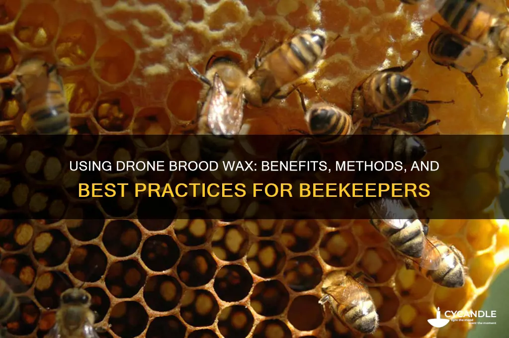 can you use drone brood wax
