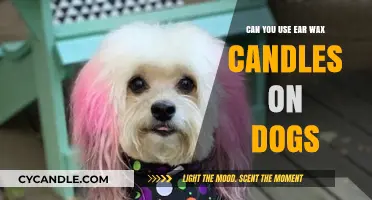 Ear Wax Candles for Dogs: Safe or Risky Practice?