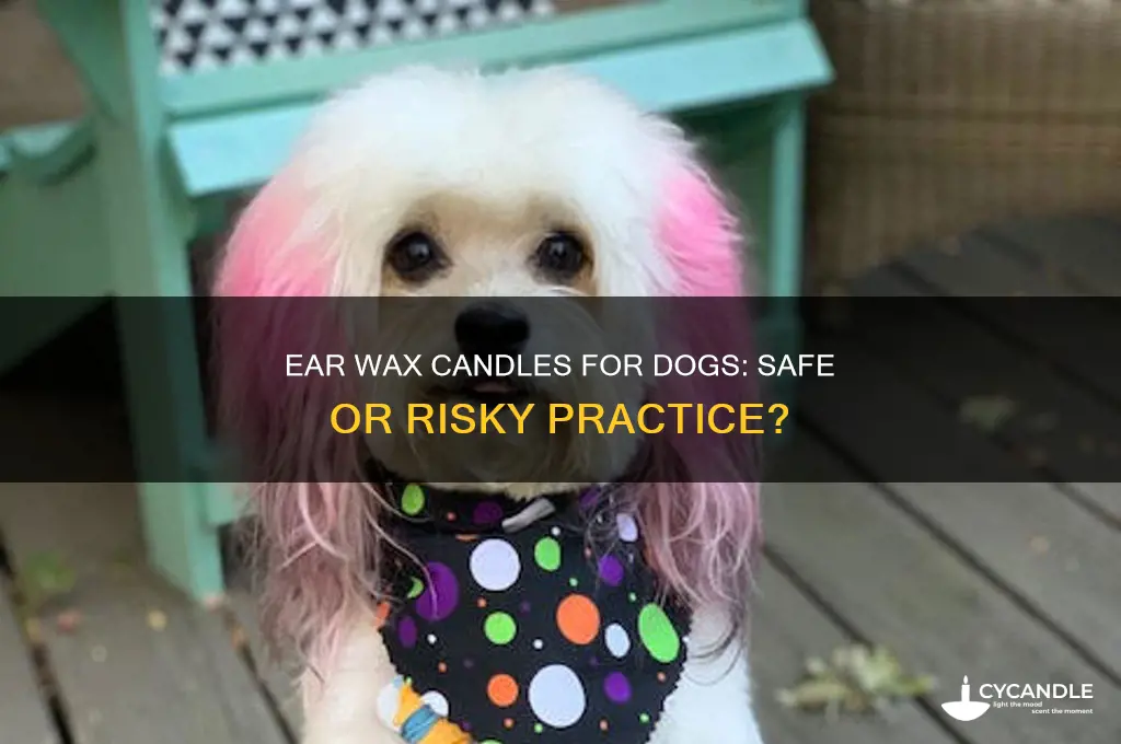can you use ear wax candles on dogs