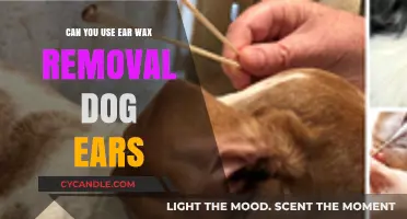 Safe Ear Wax Removal for Dogs: Tips and Best Practices