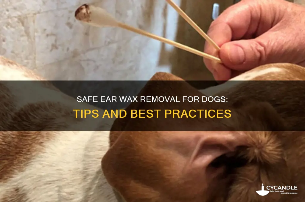 can you use ear wax removal dog ears