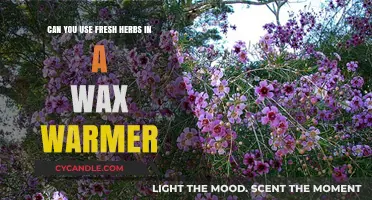 Using Fresh Herbs in Wax Warmers: Benefits, Tips, and Safety
