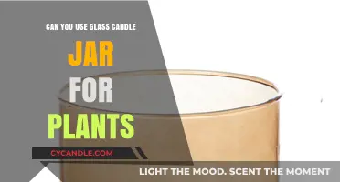 Repurposing Glass Candle Jars: Creative Planters for Your Indoor Garden
