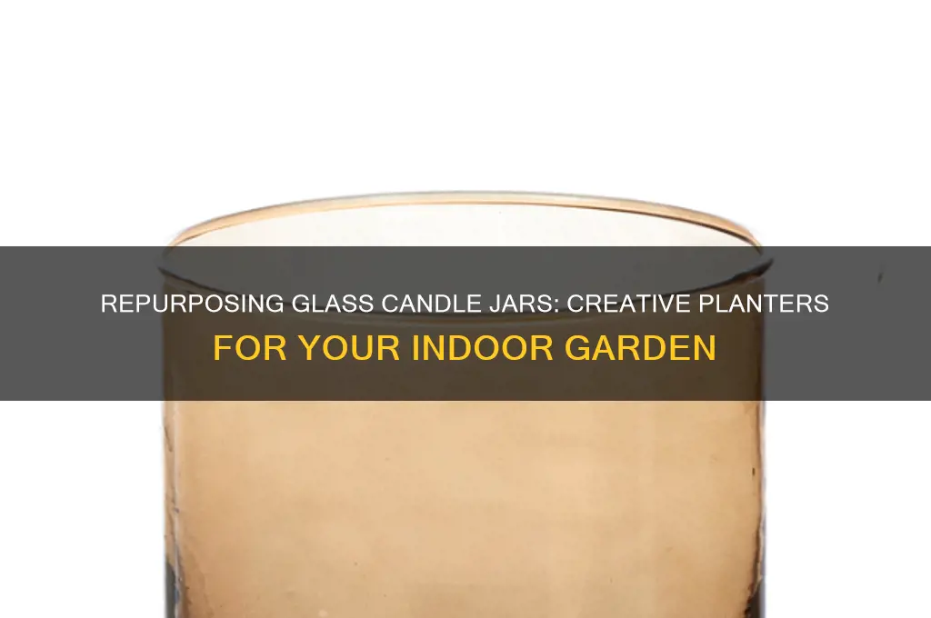 can you use glass candle jar for plants