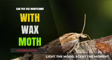 Using Honeycomb with Wax Moths: Benefits, Risks, and Best Practices