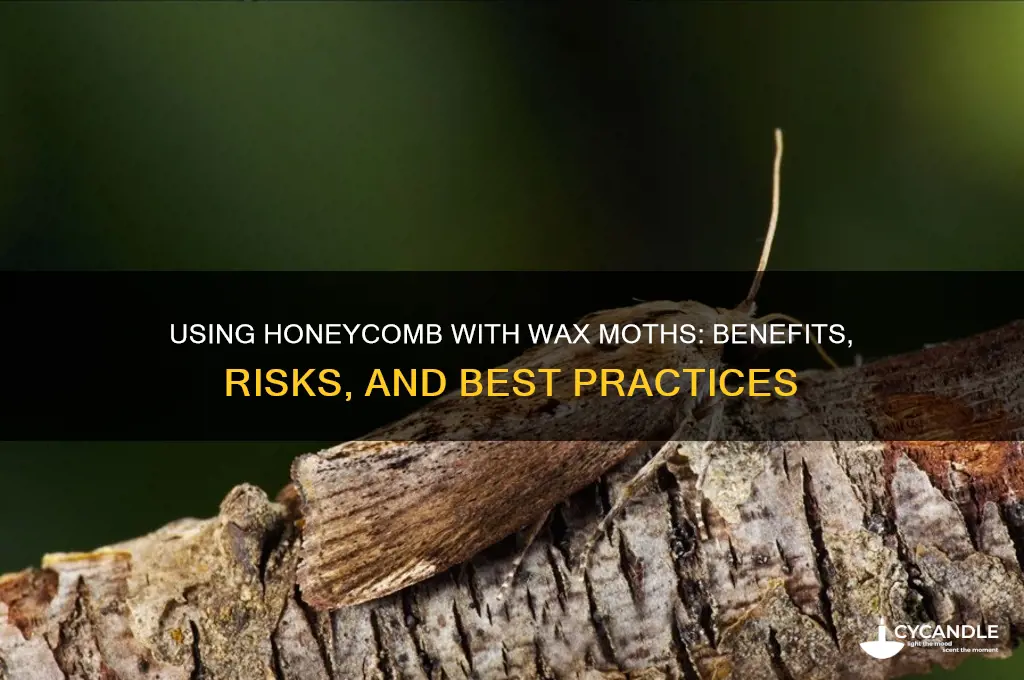 can you use honeycomb with wax moth