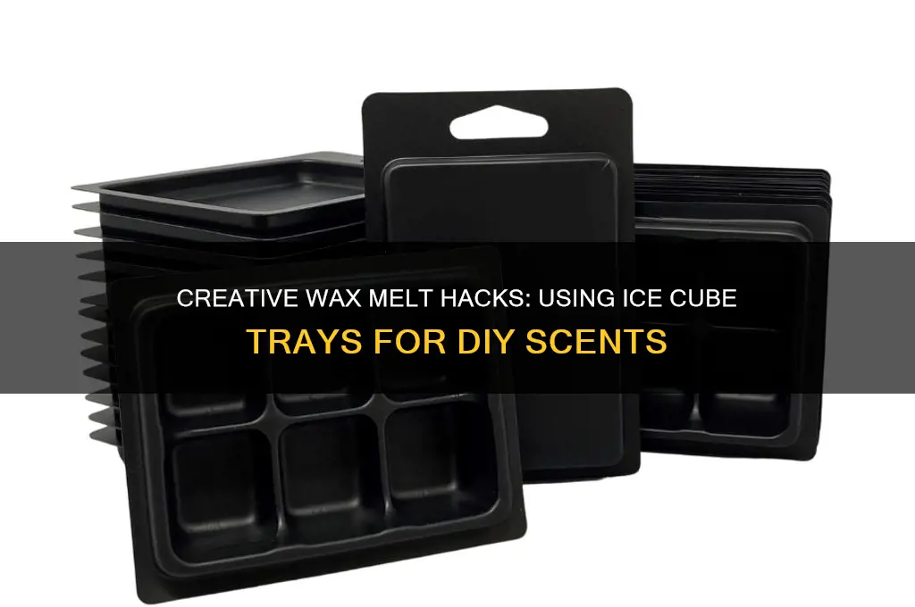 can you use ice cube trays for wax melts