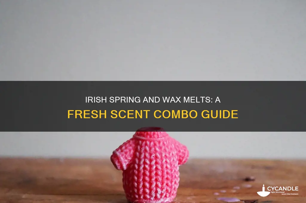 can you use irish spring and wax melts