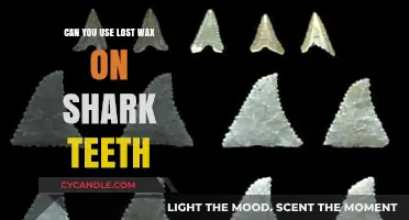 Lost Wax Casting for Shark Teeth: Techniques and Possibilities
