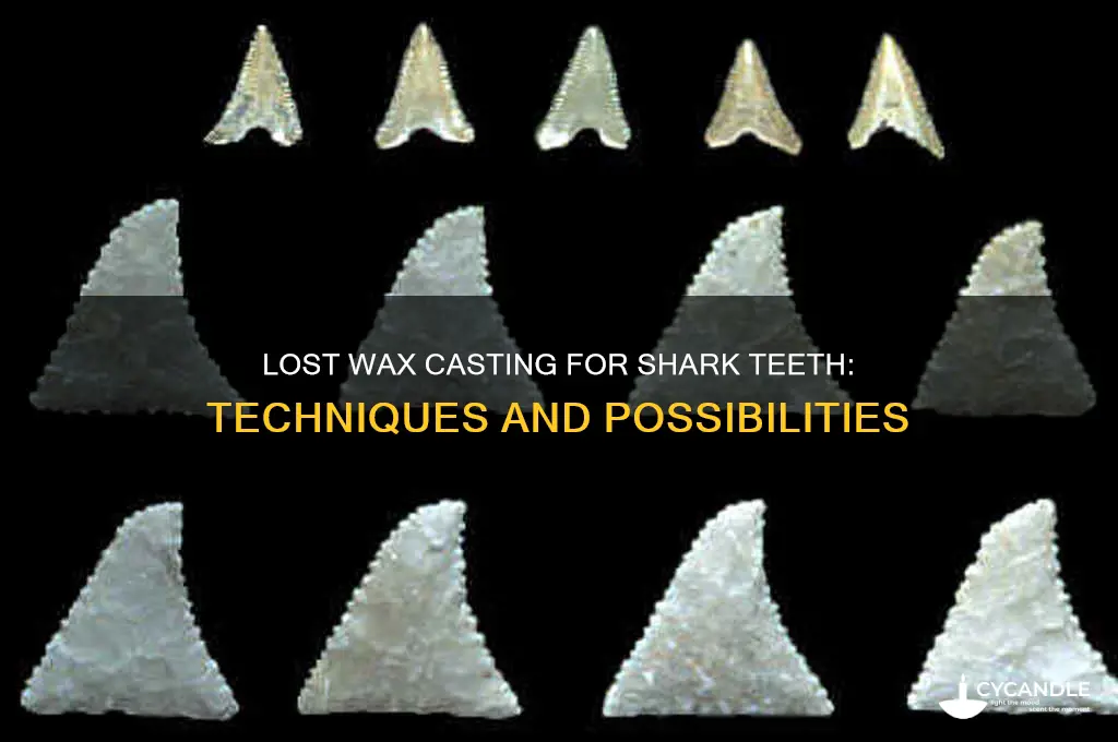 can you use lost wax on shark teeth