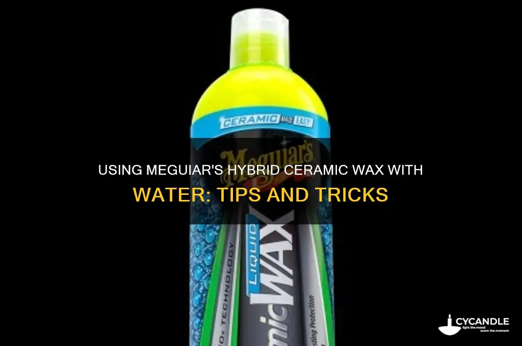 can you use meguiar