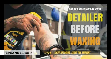 Meguiar's Quick Detailer: Pre-Wax Prep or Unnecessary Step?