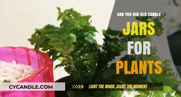 Repurpose Old Candle Jars: Creative Planters for Your Garden
