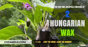 Substituting Jalapeño for Hungarian Wax: One Pepper's Impact on Flavor