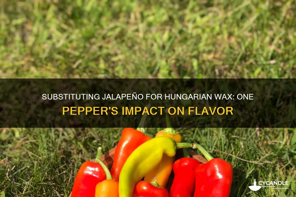can you use one jalapeño instead of 2 hungarian wax